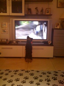 Niki Watches TV