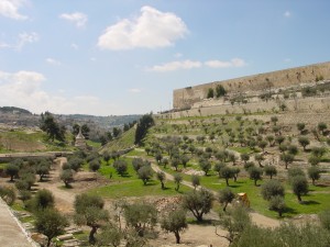 Valley of Jehoshophat